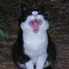 HRUL