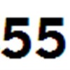 Pecas55