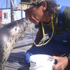 Delphin_uber_alles