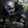 predatorrus