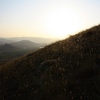 El_huron