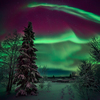 Oleg_O