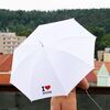 Альберт Лозицкий