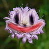 Spgen