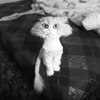 Денис Сударкин