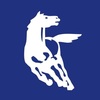 kamaz-official