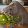 Вадим Игнатюк