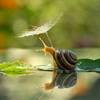 My_macrocosm