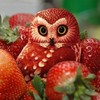 ОWL