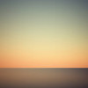 Yury_Bird