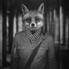 Zykov