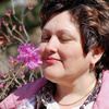 Елена Раздолина
