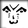 vSLY