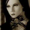 Diana V. Raven
