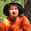 kren