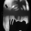 abs adlibitum