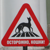 SvetlaLana